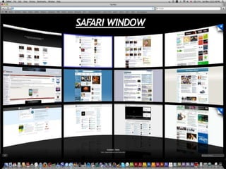 SAFARI WINDOW
 