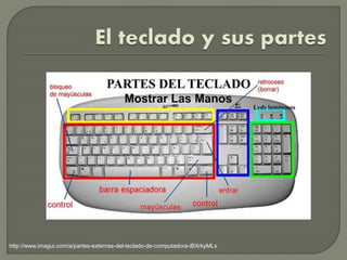 http://www.imagui.com/a/partes-externas-del-teclado-de-computadora-iBXrkyMLx
 