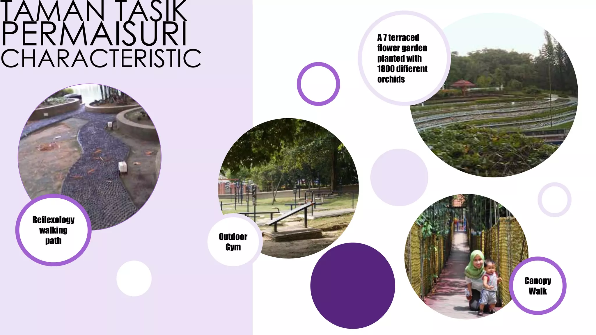 TAMAN TASIK
PERMAISURI
CHARACTERISTIC
Reflexology
walking
path
A 7 terraced
flower garden
planted with
1800 different
orchids
Canopy
Walk
Outdoor
Gym
 