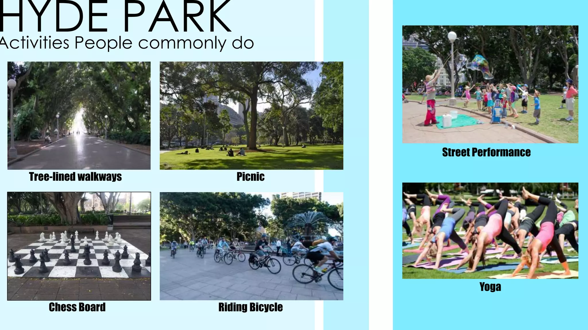 HYDE PARKActivities People commonly do
Tree-lined walkways
Chess Board
Picnic
Riding Bicycle
Street Performance
Yoga
 