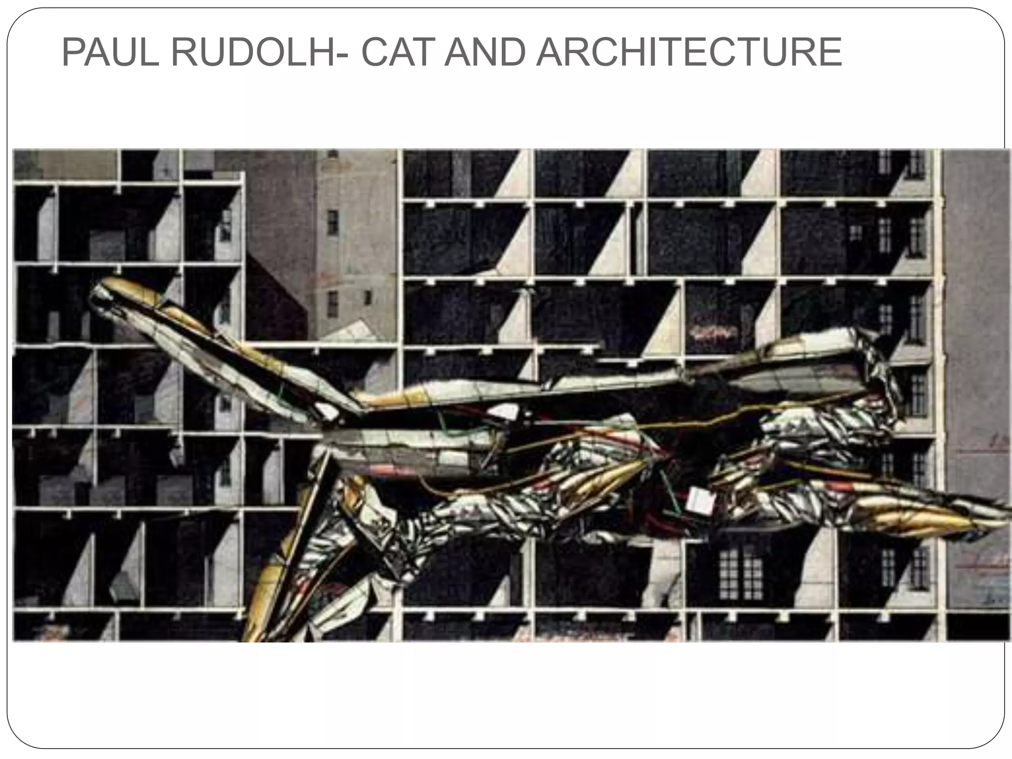 PAUL RUDOLH- CAT AND ARCHITECTURE
 
