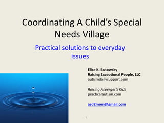 Coordinating A Child’s Special
Needs Village
Practical solutions to everyday
issues
Elise K. Butowsky
Raising Exceptional People, LLC
autismdailysupport.com
Raising Asperger’s Kids
practicalautism.com
asd2mom@gmail.com
1
 