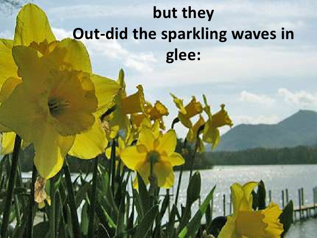 Daffodils by william wordsworth