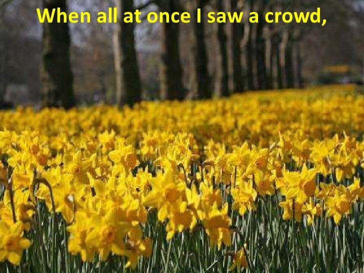 Daffodils by william wordsworth