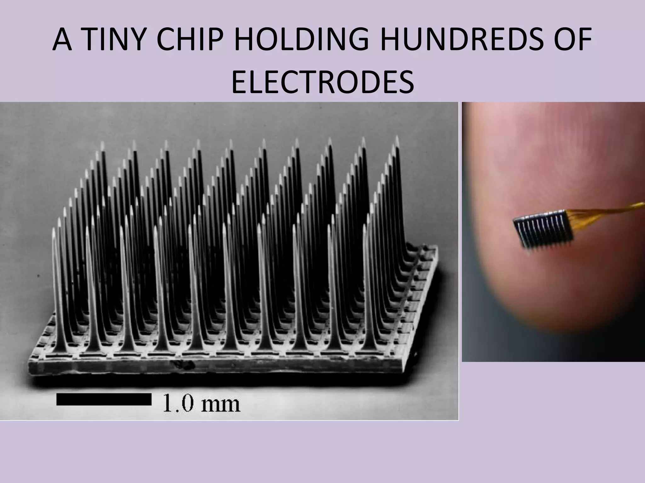 A TINY CHIP HOLDING HUNDREDS OF
ELECTRODES
 