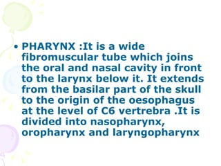 PHARYNX :It is a wide fibromuscular tube which joins the oral and nasal cavity in front to the larynx below it. It extends from the basilar part of the skull to the origin of the oesophagus at the level of C6 vertrebra .It is divided into nasopharynx, oropharynx and laryngopharynx 