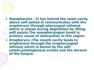 Nasopharynx : It lies behind the nasal cavity above soft palate.It communicates with the oropharynx through pharyngeal isthmus which is closed during deglutition by lifting soft palate.The nasopharyngeal tonsil is primary cause of obstruction in this region. Oropharynx :The mouth cavity leads to oropharynx through the oropharyngeal isthmus which is bound by the soft palate,palatoglossus arches and the dorsum of the tongue. 