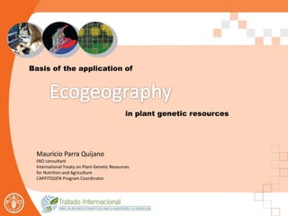 Basis of the application of
in plant genetic resources
Mauricio Parra Quijano
FAO consultant
International Treaty on Plant Genetic Resources
for Nutrition and Agriculture
CAPFITOGEN Program Coordinator
 