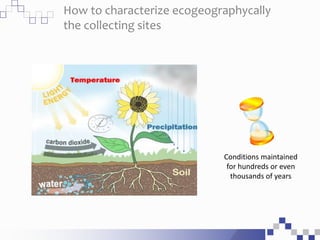 How to characterize ecogeographycally
the collecting sites
Conditions maintained
for hundreds or even
thousands of years
 