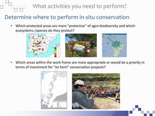 What activities you need to perform?
Determine where to perform in-situ conservation
• Which protected areas are more "protective" of agro-biodiversity and which
ecosystems /species do they protect?
• Which areas within the work frame are more appropriate or would be a priority in
terms of investment for “on farm” conservation projects?
 