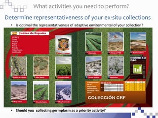 What activities you need to perform?
Determine representativeness of your ex-situ collections
• Is optimal the representativeness of adaptive environmental of your collection?
• Should you collecting germplasm as a priority activity?
 
