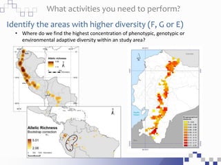 What activities you need to perform?
Identify the areas with higher diversity (F, G or E)
• Where do we find the highest concentration of phenotypic, genotypic or
environmental adaptive diversity within an study area?
 