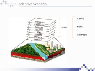 Plants
Abiotic
Biotic
Anthropic
Adaptive Scenario
 