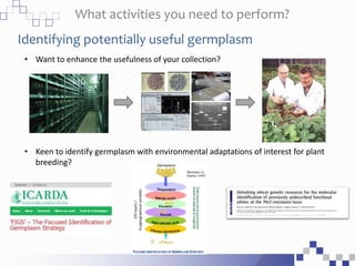 What activities you need to perform?
Identifying potentially useful germplasm
• Want to enhance the usefulness of your col...