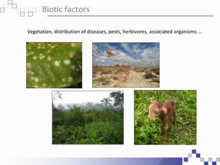 Biotic factors
Vegetation, distribution of diseases, pests, herbivores, associated organisms ...
 