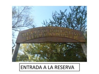 ENTRADA A LA RESERVA
 