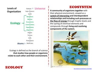 ECOLOGY
A community of organisms together with
their physical environment, viewed as a
system of interacting and interdependent
relationships and including such processes as
the flow of energy through trophic levels and
the cycling of chemical elements and
compounds through living and nonliving
components of the system.
ECOSYSTEM
http://science.yourdictionary.com/climate
Ecology is defined as the branch of science
that studies how people or organisms
relate to each other and their environment.
 