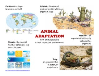 Habitat - the normal
environment in which an
organism lives
ANIMAL
ADAPTATION
how animals survive
in their respective environments
Predator - an
organism that lives by
eating other
organisms
Prey -
an organism that
is eaten, or
preyed upon
Continent - a large
landmass on Earth
Climate - the normal
weather conditions in a
particular area
http://sciencenetlinks.com/lessons/animal-adaptations/
 