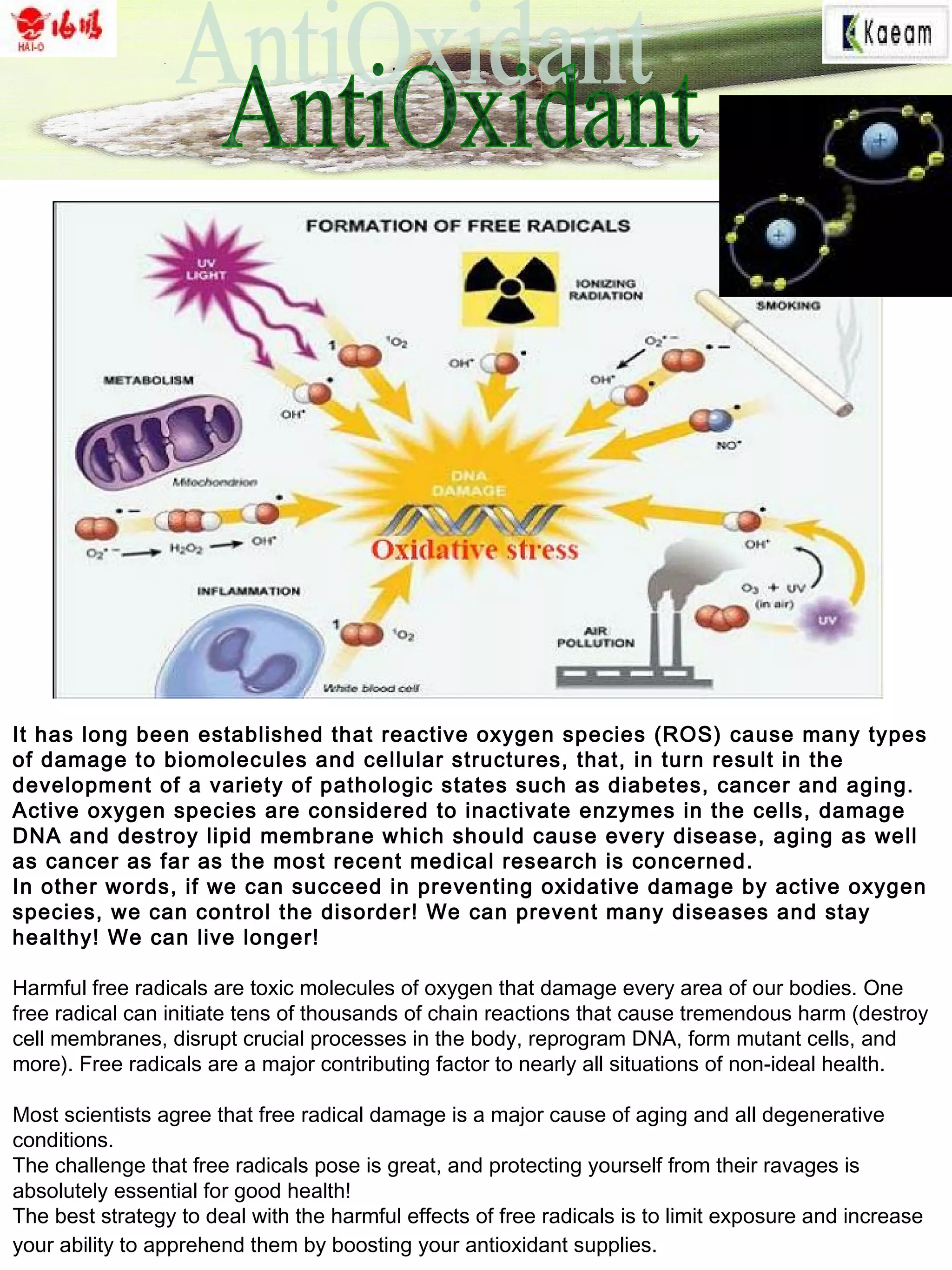 It has long been established that reactive oxygen species (ROS) cause many types
of damage to biomolecules and cellular structures, that, in turn result in the
development of a variety of pathologic states such as diabetes, cancer and aging.
Active oxygen species are considered to inactivate enzymes in the cells, damage
DNA and destroy lipid membrane which should cause every disease, aging as well
as cancer as far as the most recent medical research is concerned.
In other words, if we can succeed in preventing oxidative damage by active oxygen
species, we can control the disorder! We can prevent many diseases and stay
healthy! We can live longer!
Harmful free radicals are toxic molecules of oxygen that damage every area of our bodies. One
free radical can initiate tens of thousands of chain reactions that cause tremendous harm (destroy
cell membranes, disrupt crucial processes in the body, reprogram DNA, form mutant cells, and
more). Free radicals are a major contributing factor to nearly all situations of non-ideal health.
Most scientists agree that free radical damage is a major cause of aging and all degenerative
conditions.
The challenge that free radicals pose is great, and protecting yourself from their ravages is
absolutely essential for good health!
The best strategy to deal with the harmful effects of free radicals is to limit exposure and increase
your ability to apprehend them by boosting your antioxidant supplies.
 