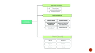 Presentation (1) ent.pptx