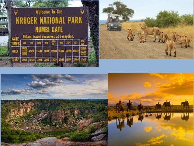 Resultado de imagem para Kruger National Park