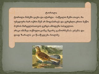 ტოროლა
ტოროლა მახეში გაება და ატირდა: –საწყალო ჩემო თავო, რა
უბედური ხარ.ოქრო შენ არ მოგიპარავს და ვერცხლი,ერთი ბეწო
პურის მარცვლისათვის გერგო ამოდენა სასჯელიო.
არაკი იმაზეა თქმული,ვინც მცირე გამორჩენას ეძებს და
დიდ ზარალს კი წააწყდება ხოლმე
 