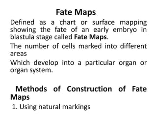 Fate Maps
Defined as a chart or surface mapping
showing the fate of an early embryo in
blastula stage called Fate Maps.
The number of cells marked into different
areas
Which develop into a particular organ or
organ system.
Methods of Construction of Fate
Maps
1. Using natural markings
 