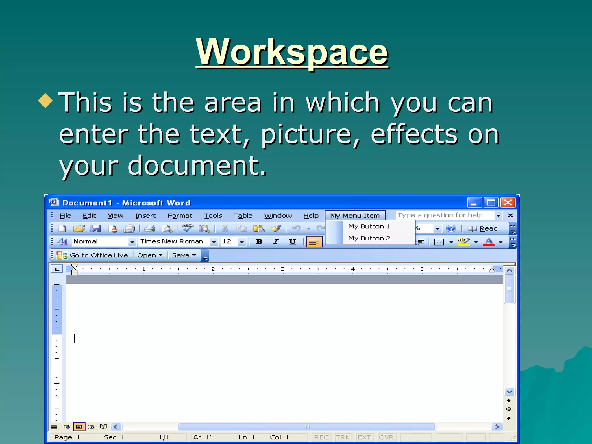 Workspace This is the area in which you can enter the text, picture, effects on your document. 