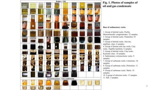Fig. 1. Photos of samples of
oil and gas condensate
Base of sedimentary rocks.
1. Group of detrital rocks. Psefits.
Monomineralic conglomerates. 22 samples.
2. Group of detrital rocks. Psammites 18
samples.
3. Group of detrital rocks. Alevrits,
argillites, clays. 6 samples.
4. Group of detrital and clay rocks. Clay
rocks. Argillite kaolinite. 6 samples.
5. Group of detrital rocks. Clay rocks.
Kaolinite clays. 10 samples.
6. Sedimentary-volcanoclastic rocks. 9
samples.
7. Group of carbonate rocks. Limestone. 24
samples.
8. Group of carbonate rocks. Dolomites. 11
samples.
9. Group of carbonate rocks. Marls. 10
samples.
10. A group of siliceous rocks. 13 samples.
11. Salt. 3 samples.
19
 