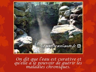 On dit que l’eau est curative et
qu'elle a le pouvoir de guérir les
      maladies chroniques.
 