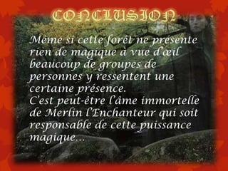 CONCLUSION
Même si cette forêt ne présente
rien de magique à vue d’œil
beaucoup de groupes de
personnes y ressentent une
certaine présence.
C’est peut-être l’âme immortelle
de Merlin l’Enchanteur qui soit
responsable de cette puissance
magique…
 