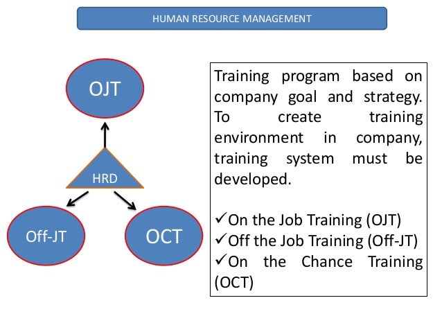 human resource management - training