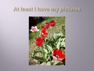 What I would like to be doing 