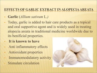Alopecia areata treatment garlic deals