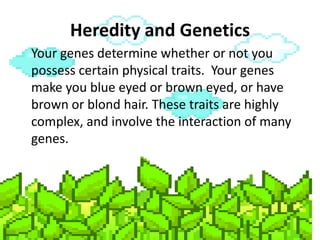 Heredity and Genetics
Your genes determine whether or not you
possess certain physical traits. Your genes
make you blue ey...