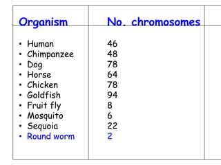 Organism No. chromosomes
• Human 46
• Chimpanzee 48
• Dog 78
• Horse 64
• Chicken 78
• Goldfish 94
• Fruit fly 8
• Mosquit...