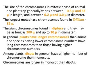 The size of the chromosomes in mitotic phase of animal
and plants sp generally varies between 0.5 µ and 32
µ in length, an...