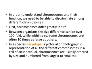 • In order to understand chromosomes and their
function, we need to be able to discriminate among
different chromosomes.
•...