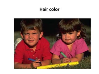Hair color
 