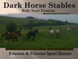 Ride Your Fantasy
Presentation by Sandy Wells
Friesian & Friesian Sport Horses
 