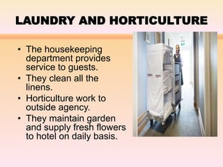 LAUNDRY AND HORTICULTURE
• The housekeeping
department provides
service to guests.
• They clean all the
linens.
• Horticulture work to
outside agency.
• They maintain garden
and supply fresh flowers
to hotel on daily basis.
 