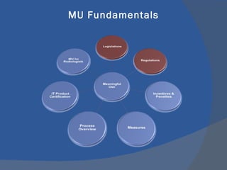 MU Fundamentals 