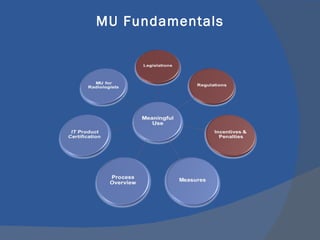 MU Fundamentals 
