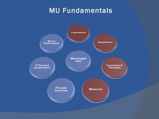 MU Fundamentals 