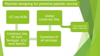 Peptides designing for potential peptide vaccine 
127 seq’NCBI 
Consensus Seq 
Of Each 
Serotype (CLC 
work bench) 
Global 
consensus Seq. 
Consensus of 
all serotype 
Short peptid Oh 
highly conserved 
 