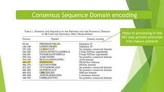 Consensus Sequence Domain encoding 
Helps in processing of the 
NS3 poly-protein precursor 
into mature proteins 
 