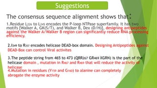 Suggestions 
The consensus sequence alignment shows that: 
1.Residue L226 to L245 encodes the P-loop NTPase superfamily. It has two 
motifs [Walker A, GK(S/T), and Walker B, Dex (D/H)], designing antipeptides 
against the Walker A/Walker B region can significantly reduce RNA processing 
efficiency. 
2.I349 to R357 encodes helicase DEAD-box domain. Designing Antipeptides against 
DEAD-Box can control Viral activites 
3.The peptide string from 465 to 473 (QRR267 GR469 XGRN) is the part of the 
helicase domain , mutation in R467 and R469 that will reduce the activity of 
helicase 
4.Mutation in residues (Y159 and G160) to alanine can completely 
abrogate the enzyme activity 
 