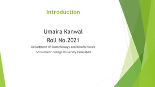 Introduction 
Umaira Kanwal 
Roll No.2021 
Department Of Biotechnology and Bioinformatics 
Government College University Faisalabad 
 