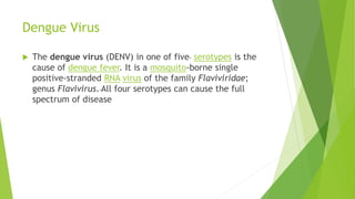 Dengue Virus 
 The dengue virus (DENV) in one of five serotypes is the 
cause of dengue fever. It is a mosquito-borne single 
positive-stranded RNA virus of the family Flaviviridae; 
genus Flavivirus. All four serotypes can cause the full 
spectrum of disease 
 