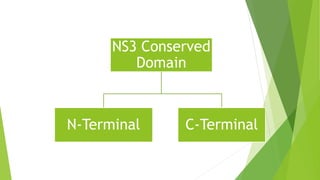 NS3 Conserved 
Domain 
N-Terminal C-Terminal 
 